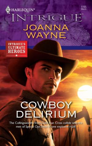 Cover of the book Cowboy Delirium by Valéry K. Baran