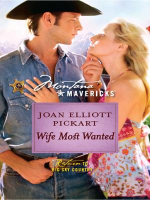 Cover of the book Wife Most Wanted by Stacy Connelly