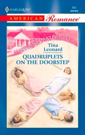 Cover of the book Quadruplets on the Doorstep by Ellie Clivens