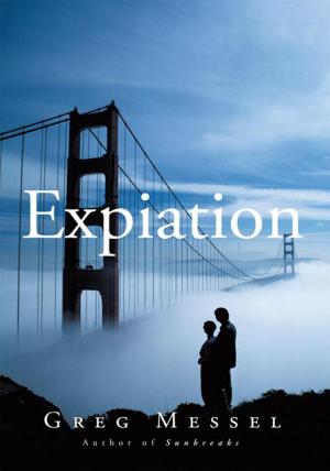 Cover of the book Expiation by Ann Llewellyn Evans