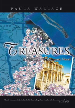 Cover of the book Treasures: a Mallory O’Shaughnessy Novel by Stewart N. Johnson