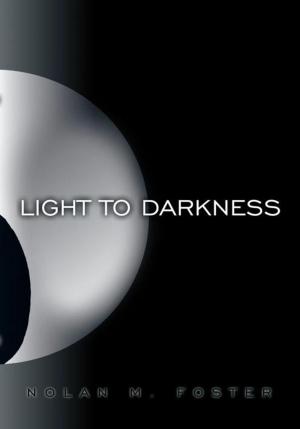 Cover of the book Light to Darkness by Peet Van Heerden