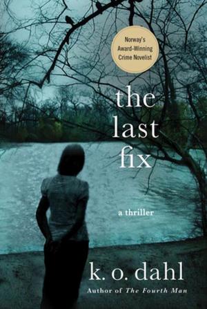 Cover of the book The Last Fix by Julia Keller