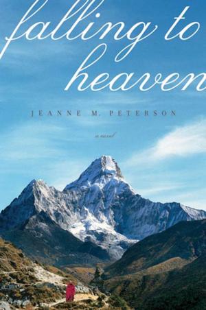 Cover of the book Falling to Heaven by Sarah Bird