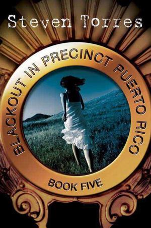 Cover of the book Blackout in Precinct Puerto Rico by Anna Dean