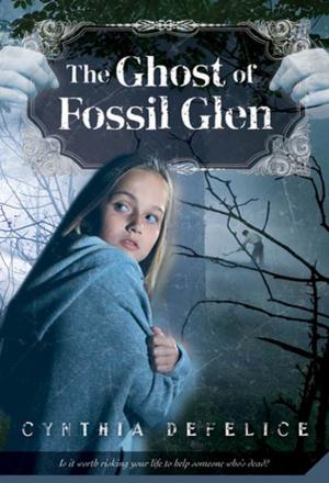 Cover of the book The Ghost of Fossil Glen by Stephanie Feagan
