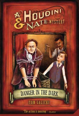 Cover of the book Danger in the Dark by Geoffrey Perret