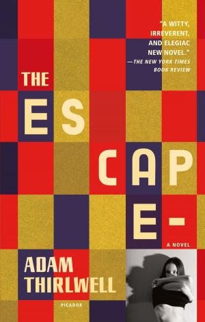 Cover of the book The Escape by Zachary Mason