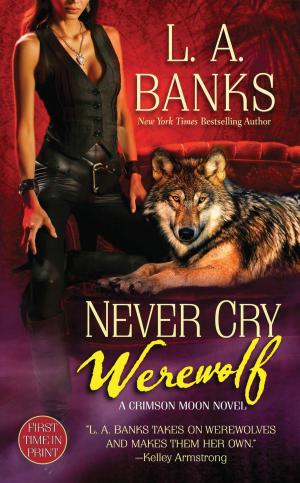 Cover of the book Never Cry Werewolf by Julie Ann Sageer, Leah Bhabha