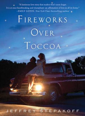 Book cover of Fireworks Over Toccoa