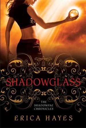 Cover of the book Shadowglass by Michael Gregorio