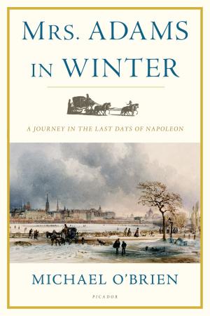 Cover of the book Mrs. Adams in Winter by Colette Brown