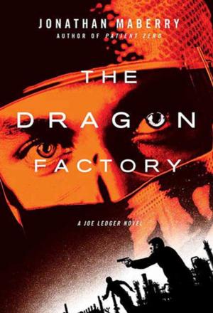 Book cover of The Dragon Factory
