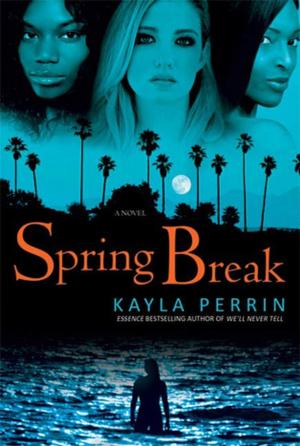 Cover of the book Spring Break by Molly Gambiza