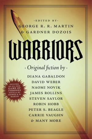 Cover of the book Warriors by Tina Connolly
