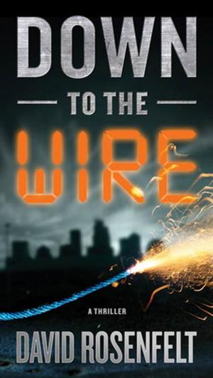Cover of the book Down to the Wire by India Edghill
