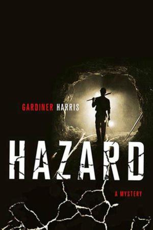 Cover of the book Hazard by John Glatt