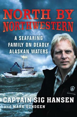 Cover of the book North by Northwestern by Iris Johansen