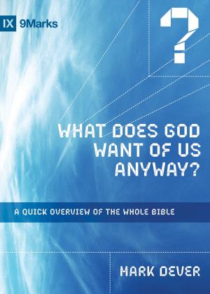 bigCover of the book What Does God Want of Us Anyway? by 