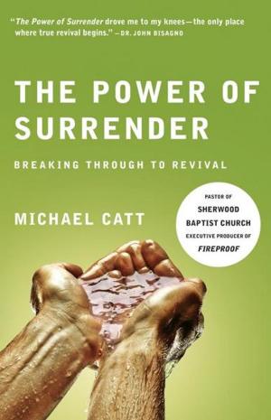 Cover of the book The Power of Surrender by Dana Gould