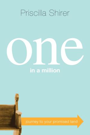 Cover of the book One in a Million: Journey to Your Promised Land by Stephen Kendrick, Alex Kendrick