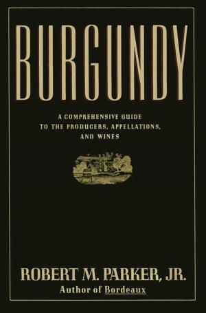Cover of the book Burgundy by Han Han