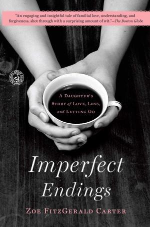 Cover of the book Imperfect Endings by Steven Rowley