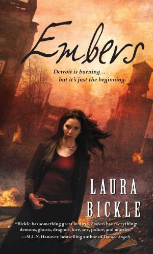 Cover of the book Embers by Jeffrey Kosh