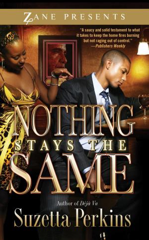 Cover of the book Nothing Stays the Same by Allison Hobbs