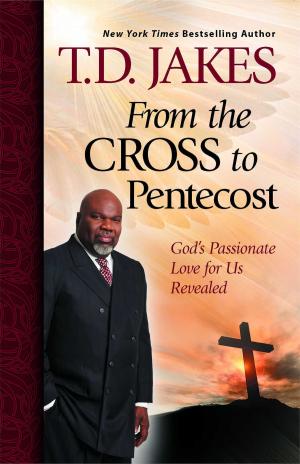 Cover of the book From the Cross to Pentecost by Jim Wallis