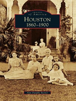 Book cover of Houston