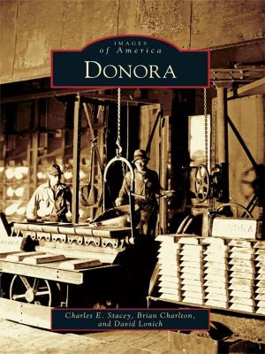 Cover of the book Donora by Nate Jordon