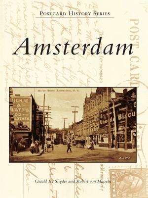 Cover of the book Amsterdam by Jonathan Kruk