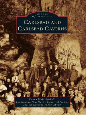 Cover of the book Carlsbad and Carlsbad Caverns by Nancy Yacci, The Ontario County Historical Society