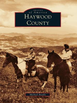 Cover of the book Haywood County by Byron Browne