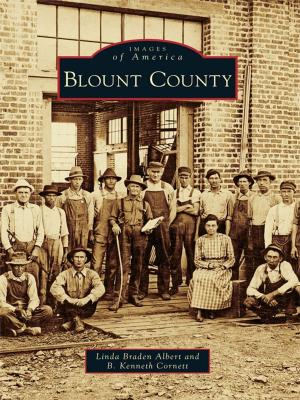 Cover of the book Blount County by David Goss, Harold E. Wright