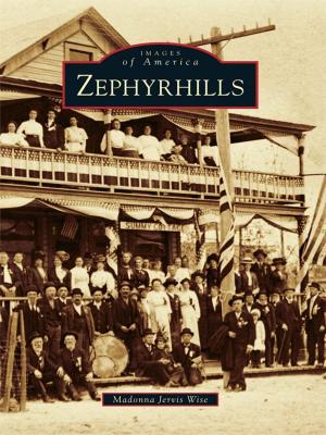 Cover of the book Zephyrhills by Bo Miller, Sue Brown