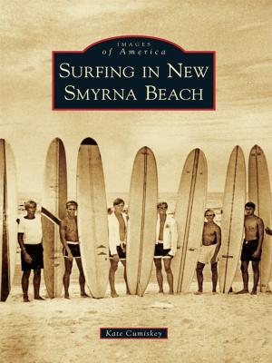 Cover of the book Surfing in New Smyrna Beach by Wendy Maston, Robin Kessell