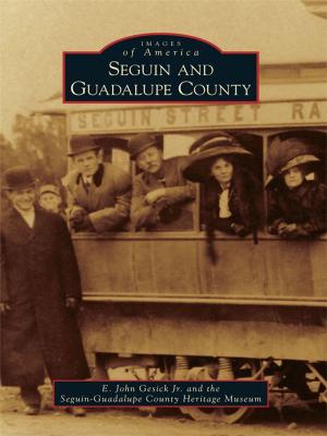 Cover of the book Seguin and Guadalupe County by Andrew Mark Herman
