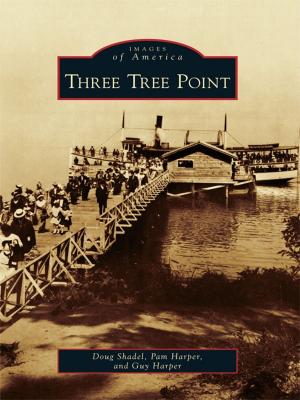 Cover of the book Three Tree Point by Richard A. Santillán, Jorge Iber, Grace G. Charles, Alberto Rodríguez, Gregory Garrett