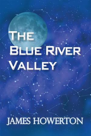Cover of the book The Blue River Valley by Allan Yashin