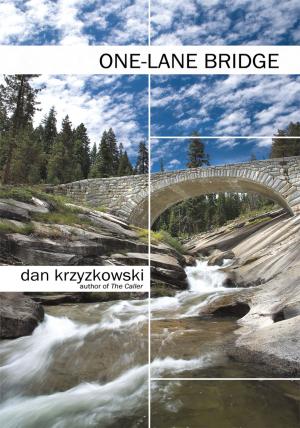 Cover of the book One-Lane Bridge by Bill Brack