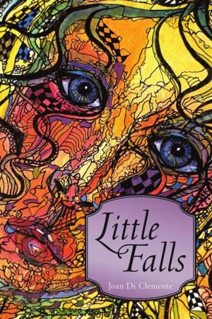 Cover of the book Little Falls by Ben D. Mahaffey