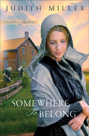 Book cover of Somewhere to Belong (Daughters of Amana)
