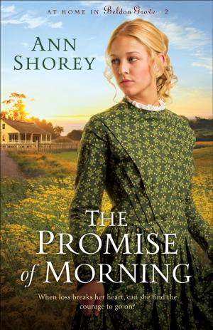 Cover of the book Promise of Morning, The (At Home in Beldon Grove Book #2) by Neil R. Lightfoot