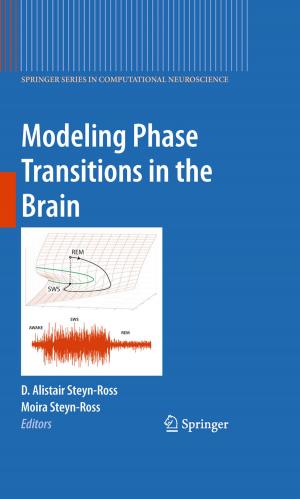 Cover of the book Modeling Phase Transitions in the Brain by Haim Dahan, Shahar Cohen, Lior Rokach, Oded Maimon