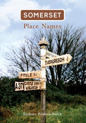 Cover of the book Somerset Place Names by Ian Collard