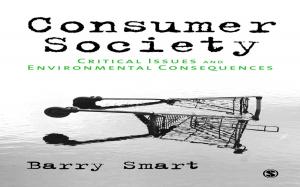Cover of the book Consumer Society by Tandi Clausen-May