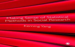 Cover of the book Making Sense of Statistical Methods in Social Research by Professor Robert Garvey, Professor David Megginson, Paul Stokes
