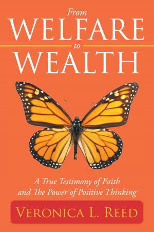 Cover of the book From Welfare to Wealth by Richard W. Kelsey